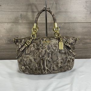 Coach 17760 Madison Sophia Python Snakeskin Gold Hardware Leather Satchel